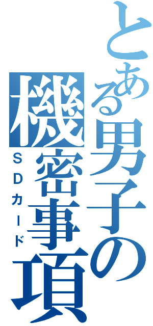 とある男子の機密事項（ＳＤカード）