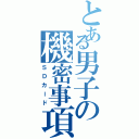 とある男子の機密事項（ＳＤカード）