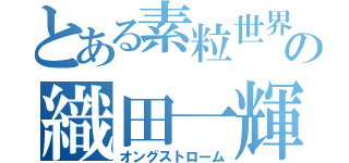 とある素粒世界の織田一輝（オングストローム）