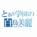 とある学園の白鳥美麗（しらとりみれい）