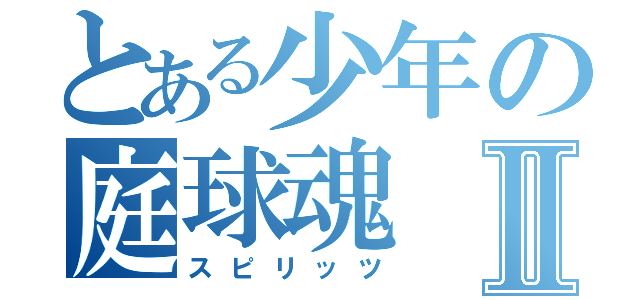 とある少年の庭球魂Ⅱ（スピリッツ）