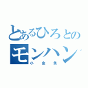 とあるひろとのモンハン４（小金魚）