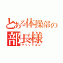 とある体操部の部長様（プリンセスｗ）