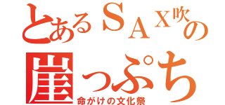 とあるＳＡＸ吹きの崖っぷち、、、、（命がけの文化祭）