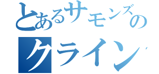 とあるサモンズかいのクライン（）