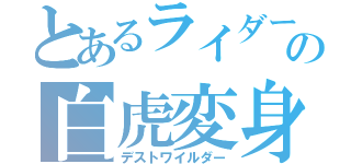 とあるライダーの白虎変身（デストワイルダー）