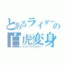 とあるライダーの白虎変身（デストワイルダー）