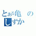 とある亀のしずか（）