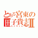 とある宮東の田子貴志Ⅱ（たごちゃん）