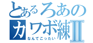 とあるろあのカワボ練習Ⅱ（なんてこったい）