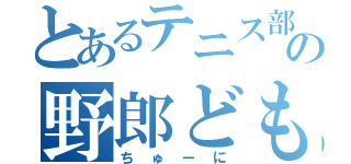 とあるテニス部の野郎ども（ちゅーに）