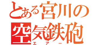 とある宮川の空気鉄砲（エアー）