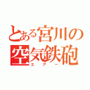 とある宮川の空気鉄砲（エアー）