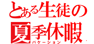 とある生徒の夏季休暇（バケーション）