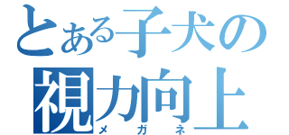 とある子犬の視力向上（メガネ）