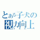 とある子犬の視力向上（メガネ）