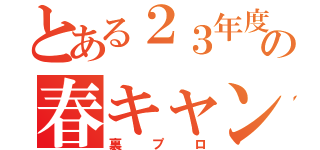 とある２３年度の春キャン（裏プロ）