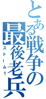 とある戦争の最後老兵（ストーム１）