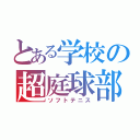 とある学校の超庭球部（ソフトテニス）