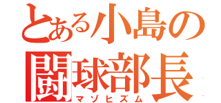 とある小島の闘球部長（マゾヒズム）