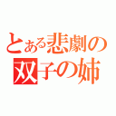 とある悲劇の双子の姉弟（）