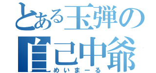 とある玉弾の自己中爺（めいまーる）