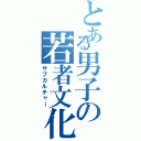 とある男子の若者文化（サブカルチャー）