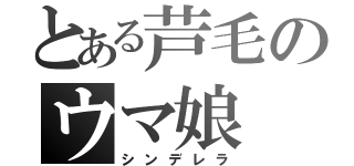 とある芦毛のウマ娘（シンデレラ）