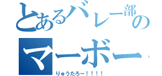 とあるバレー部のマーボー（りゅうたろー！！！！）