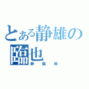 とある静雄の臨也（静臨時）