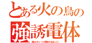 とある火の鳥の強誘電体（消えたチャージが再生するＭＬＣＣ）