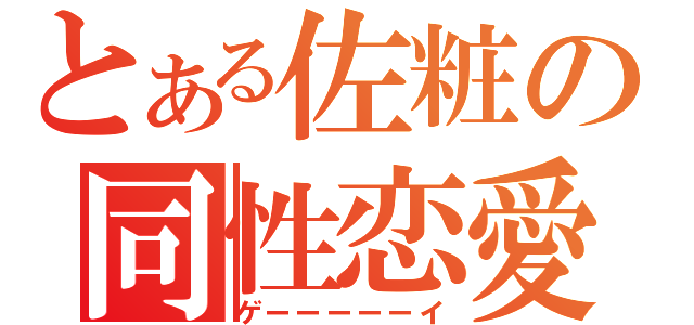 とある佐粧の同性恋愛（ゲーーーーーイ）