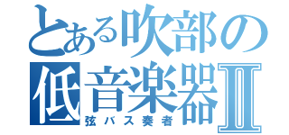 とある吹部の低音楽器Ⅱ（弦バス奏者）