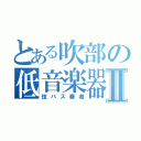 とある吹部の低音楽器Ⅱ（弦バス奏者）