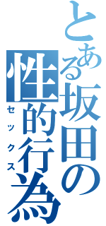 とある坂田の性的行為Ⅱ（セックス）