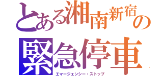 とある湘南新宿ラインの緊急停車（エマージェンシー・ストップ）