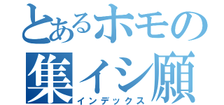 とあるホモの集イシ願い（インデックス）