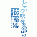 とある吹奏楽部の弦楽器（コントラバス）