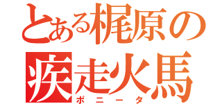 とある梶原の疾走火馬（ポニータ）