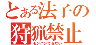 とある法子の狩猟禁止（モンハンできない）