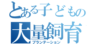 とある子どもの大量飼育（プランテーション）