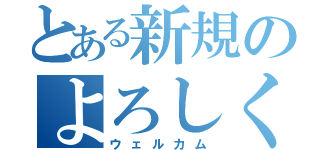 とある新規のよろしく（ウェルカム）