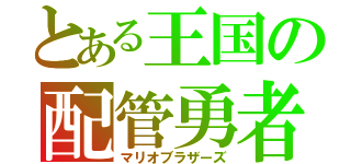 とある王国の配管勇者（マリオブラザーズ）