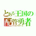 とある王国の配管勇者（マリオブラザーズ）