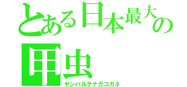 とある日本最大の甲虫（ヤンバルテナガコガネ）