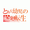 とある幼児の輪廻転生（リトルリズム）