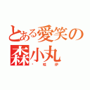 とある愛笑の森小丸（卡哇伊）