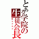 とある学院の生徒会長（桂ヒナギク）