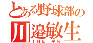 とある野球部の川邉敏生（ＴＨＥ 平凡）