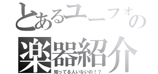 とあるユーフォ吹きの楽器紹介（知ってる人いないの！？）